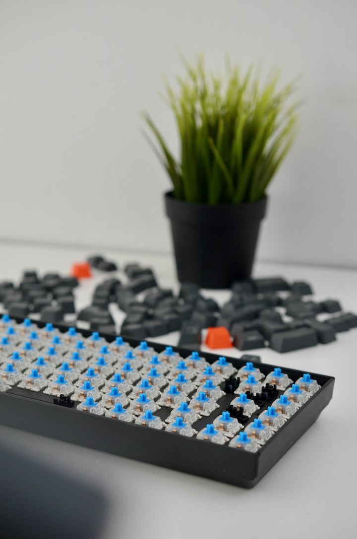 Keychron K2 ohne Keycaps vor Pflanze