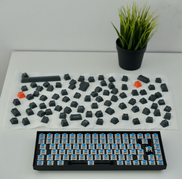 Keychron K2 mit Keycaps auf Küchenrolle mit Pflanze im Hintergrund