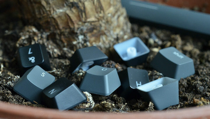 Keycaps in Blumenerde