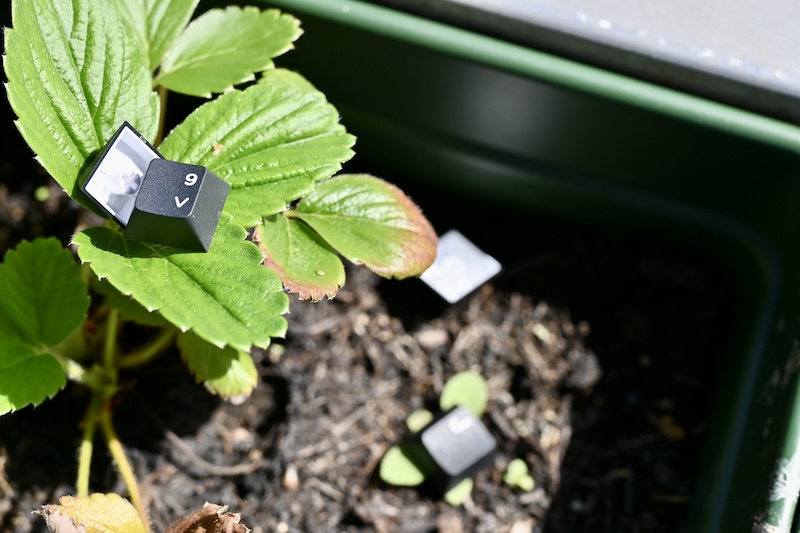 Epomaker Magcore 87 Tastenkappen mit Blume
