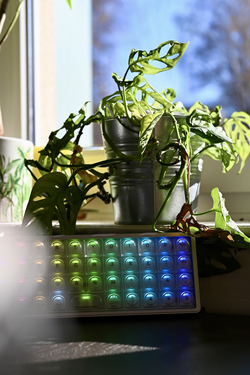 Epomaker Luma40 mit Pflanze im Hintergrund