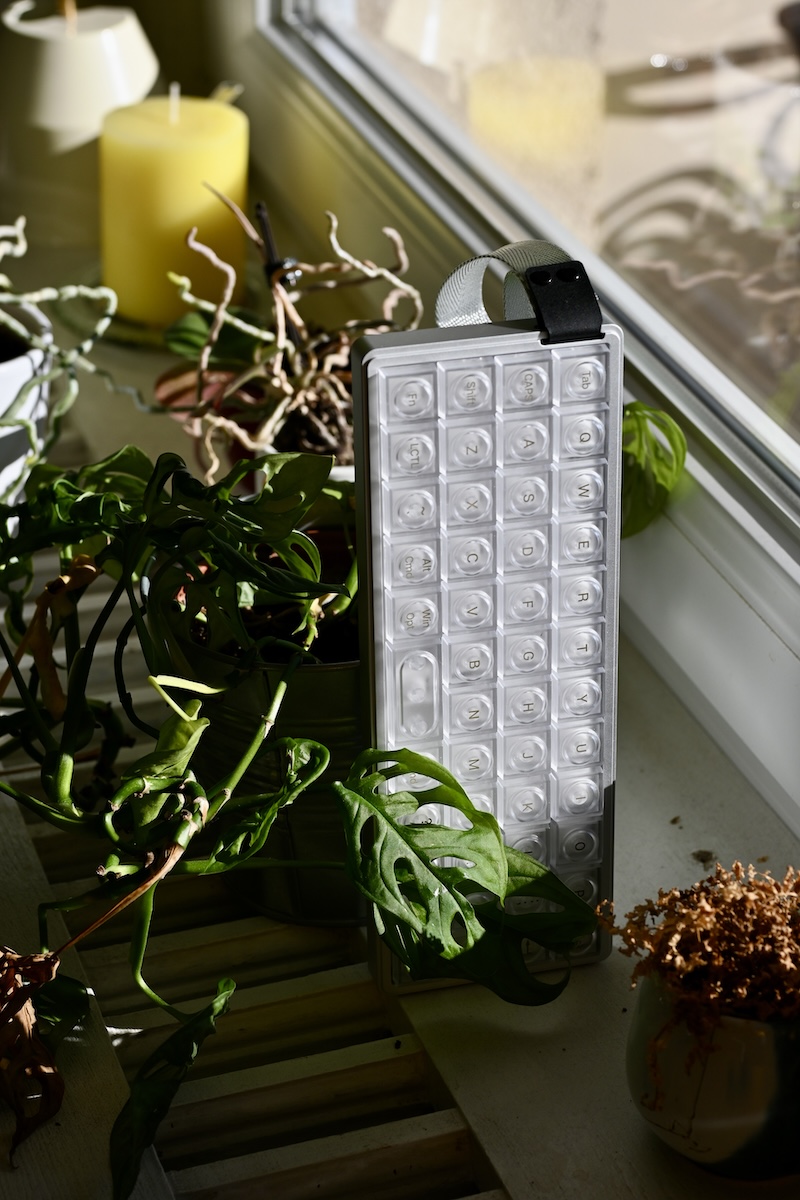 Epomaker Luma40 vor Pflanze